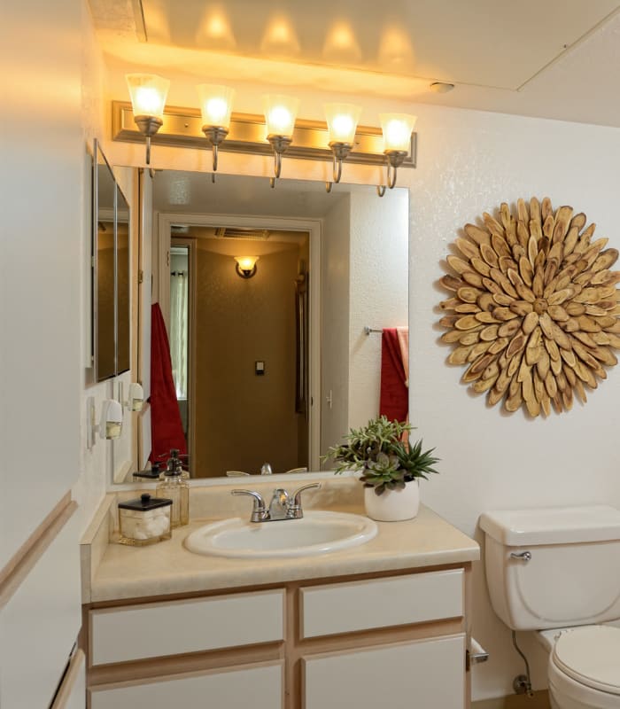 Bathroom at Acacia Park Apartments in El Paso, Texas
