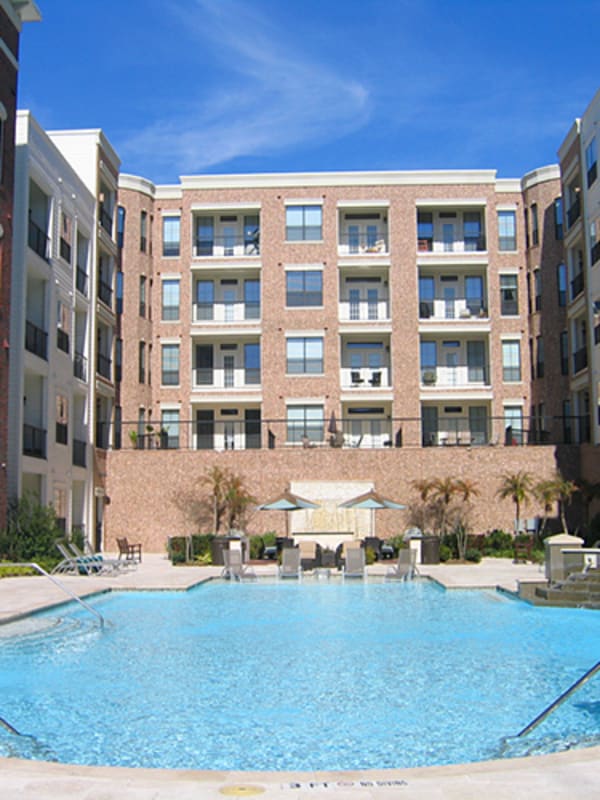 Resort-style pool surrounded by palm trees at Forum on San Felipe in Houston, Texas
