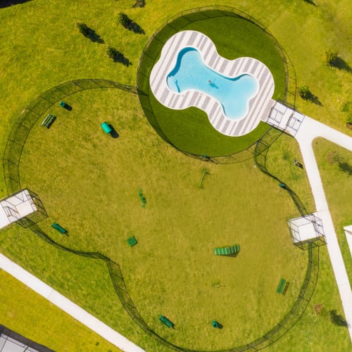Awesome dog park with water play area at Luxor Club in Jacksonville, Florida