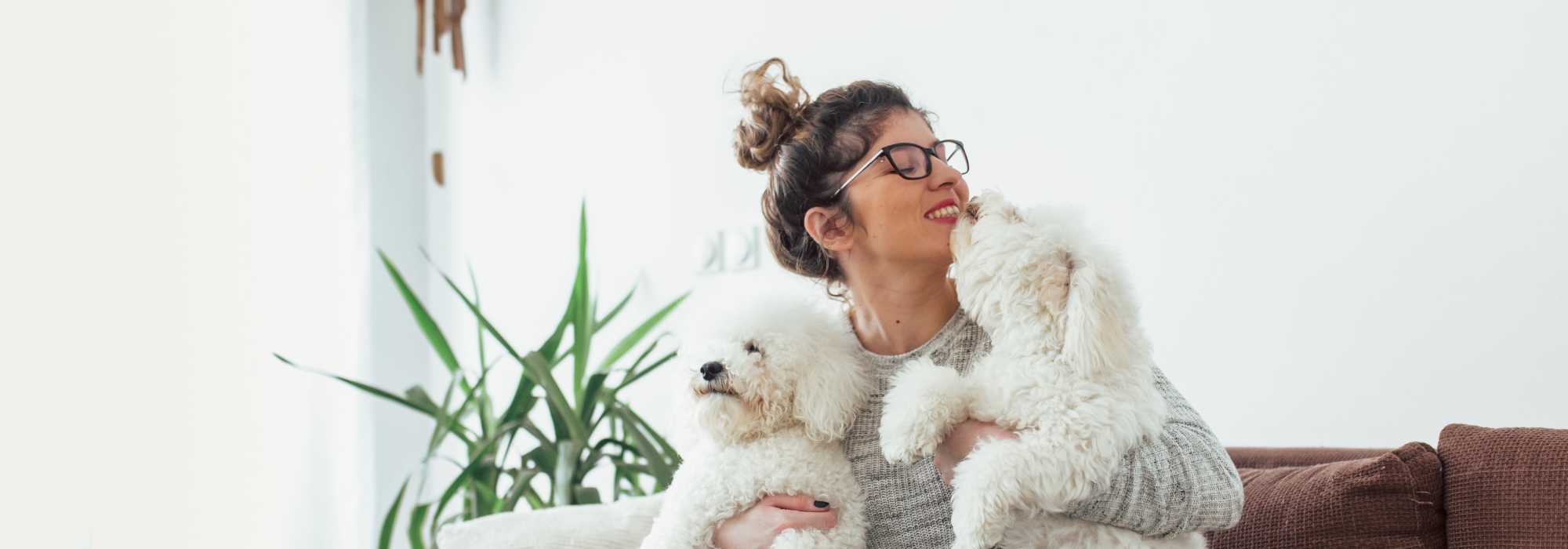 Pet friendly at Westminster Apartments in Spokane, Washington