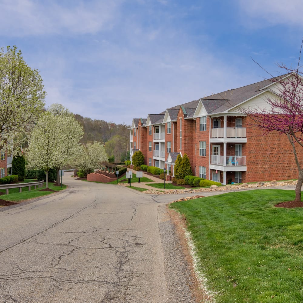 Green lawn and trees at Parkside Estates, Canonsburg, Pennsylvania