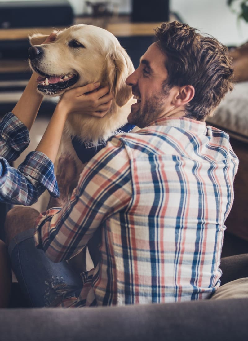 View our pet policy at Marquis at Crown Ridge in San Antonio, Texas