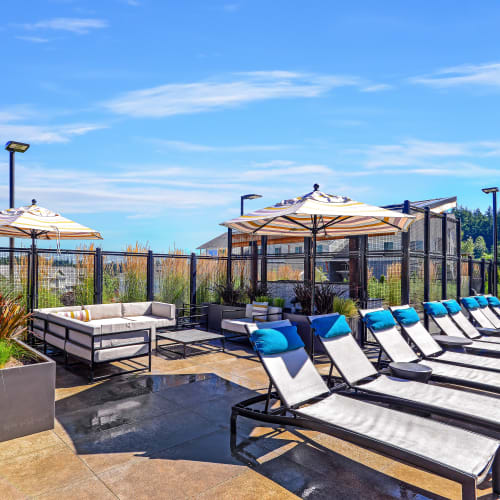 Lounge Area Poolside at Ambrose in Bremerton, Washington