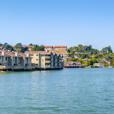 Views of the bay from our waterfront property at Harbor Point Apartments in Mill Valley, California