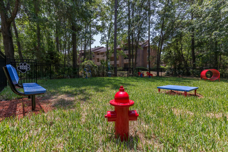 Dog park for residents at the pet friendly Belle Vista Apartment Homes in Lithonia, Georgia