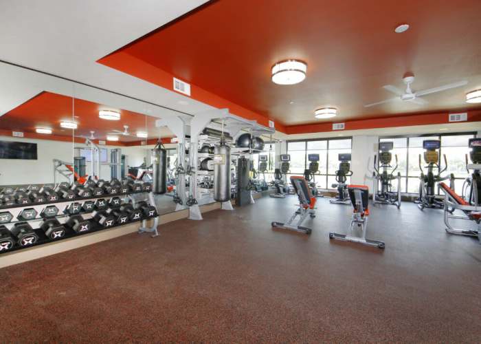 Modern gym with cardio machines and weights in bright, open space at Messina Luxury Apartments in New Smyrna Beach, Florida