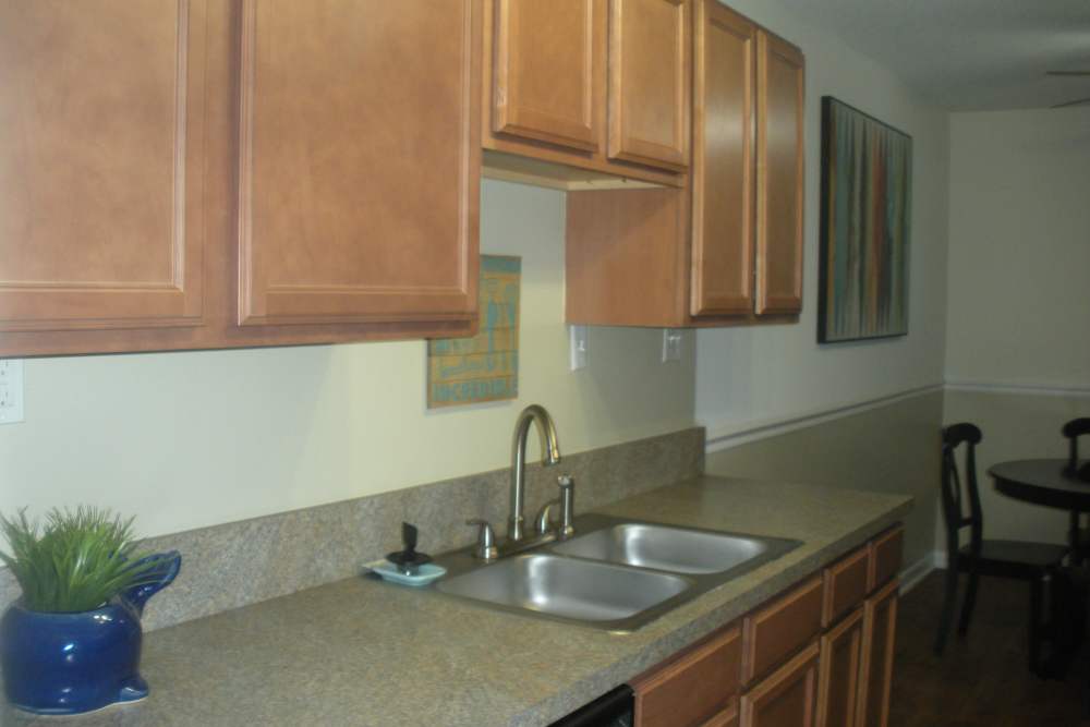 Kitchen sink at Riverwood Apartments in Mount Pleasant, South Carolina