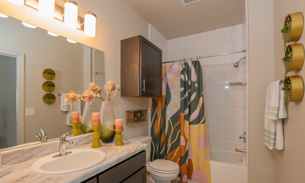 Bathroom at Bend at New Road Apartments in Waco, Texas