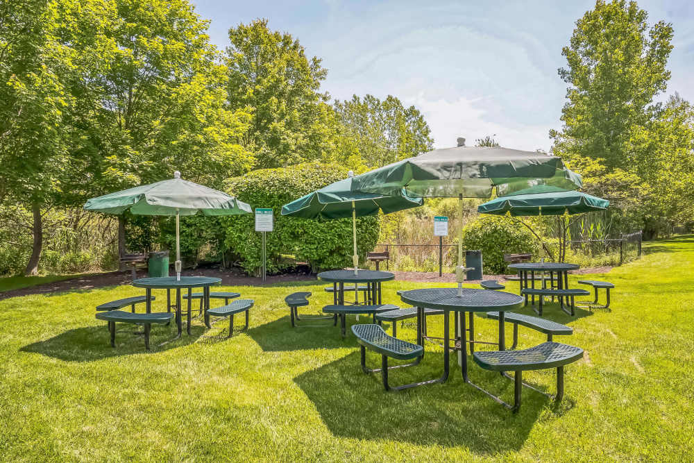 Picnic and grill area at Riverbend at Wappingers Falls in Wappingers Falls, New York