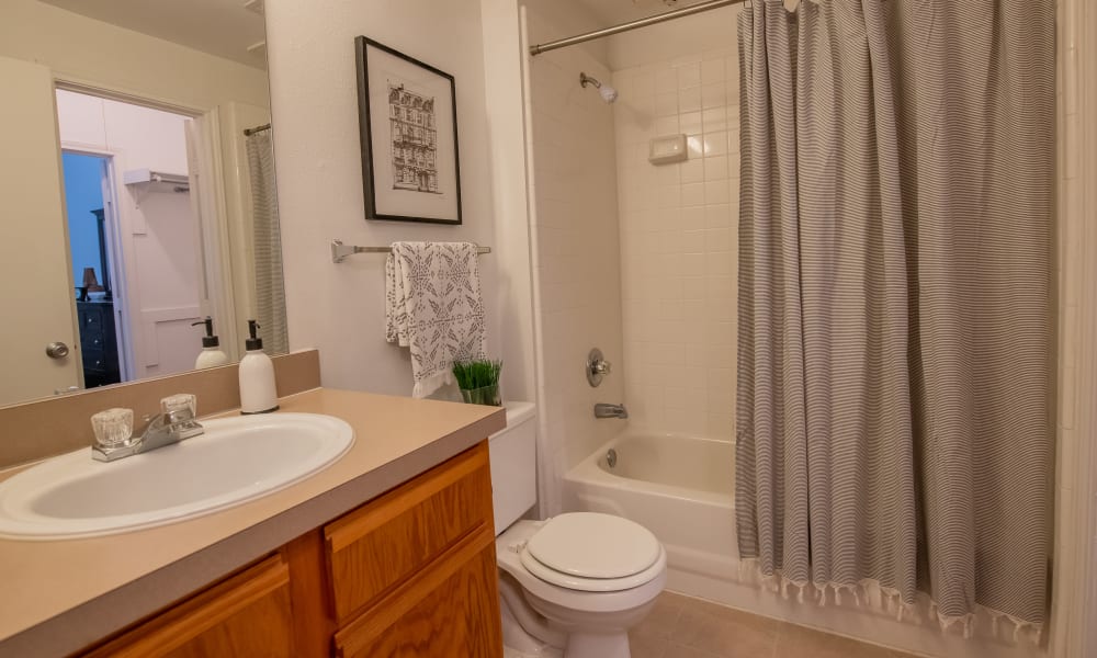 Bathroom at The Pointe of Ridgeland in Ridgeland, Mississippi