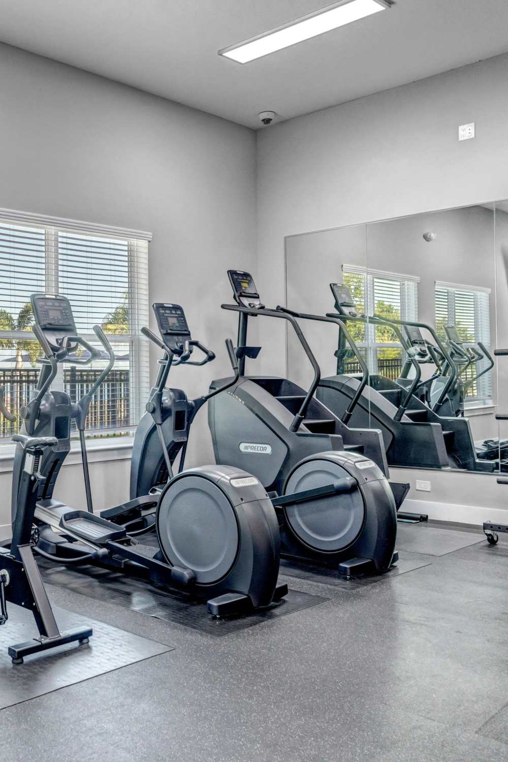 Fitness center with cardio machines and weights at The Carlton At Lake Dexter in Winter Haven, Florida