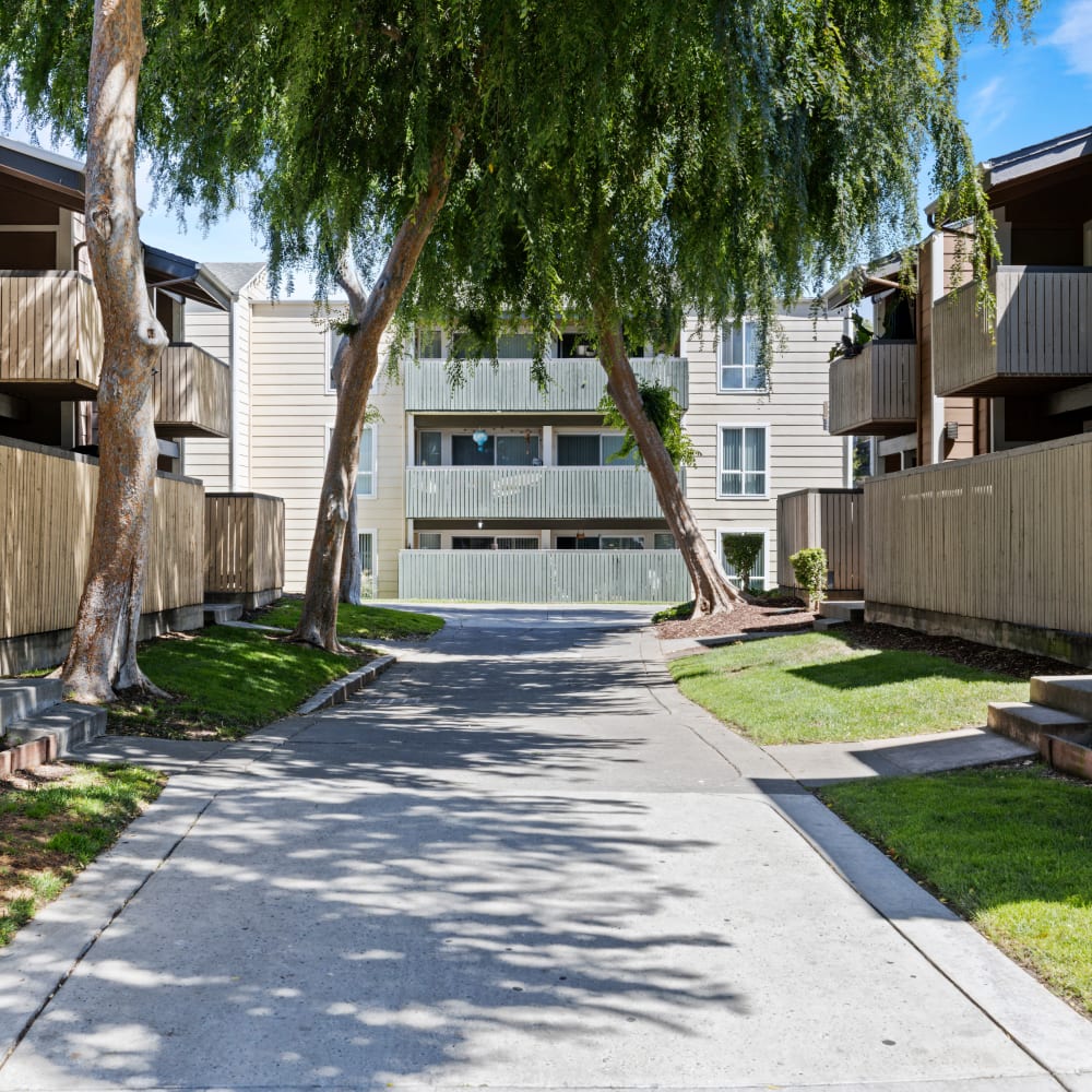 Exterior of the apartments at Bidwell Park Fremont in Fremont, California 