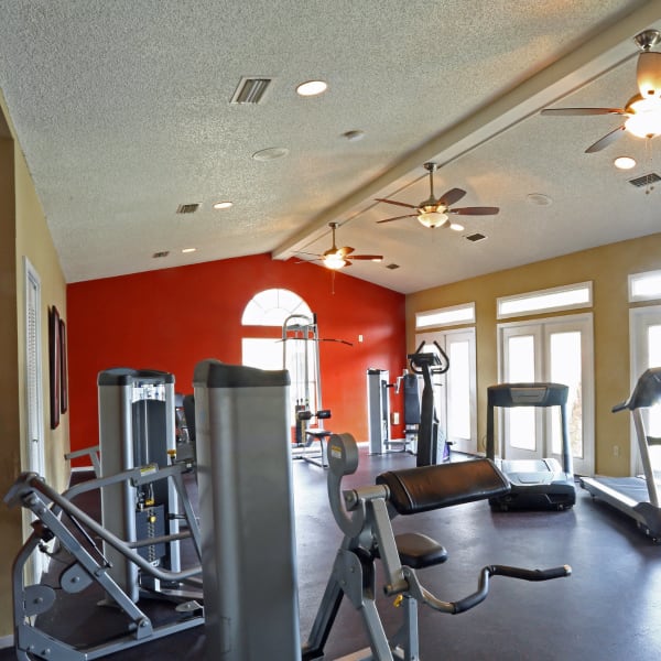 Fitness center at Palencia Apartments in Tampa, Florida