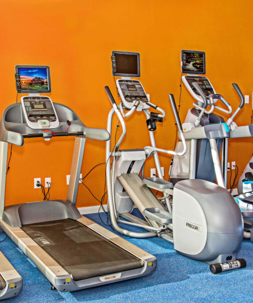 Cardio equipment in the fitness center at Arbor Brook in Murfreesboro, Tennessee