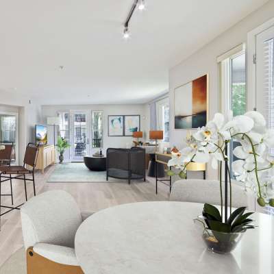 Refreshing and well-lit living area with indoor plants at The Kensington in Pleasanton, California