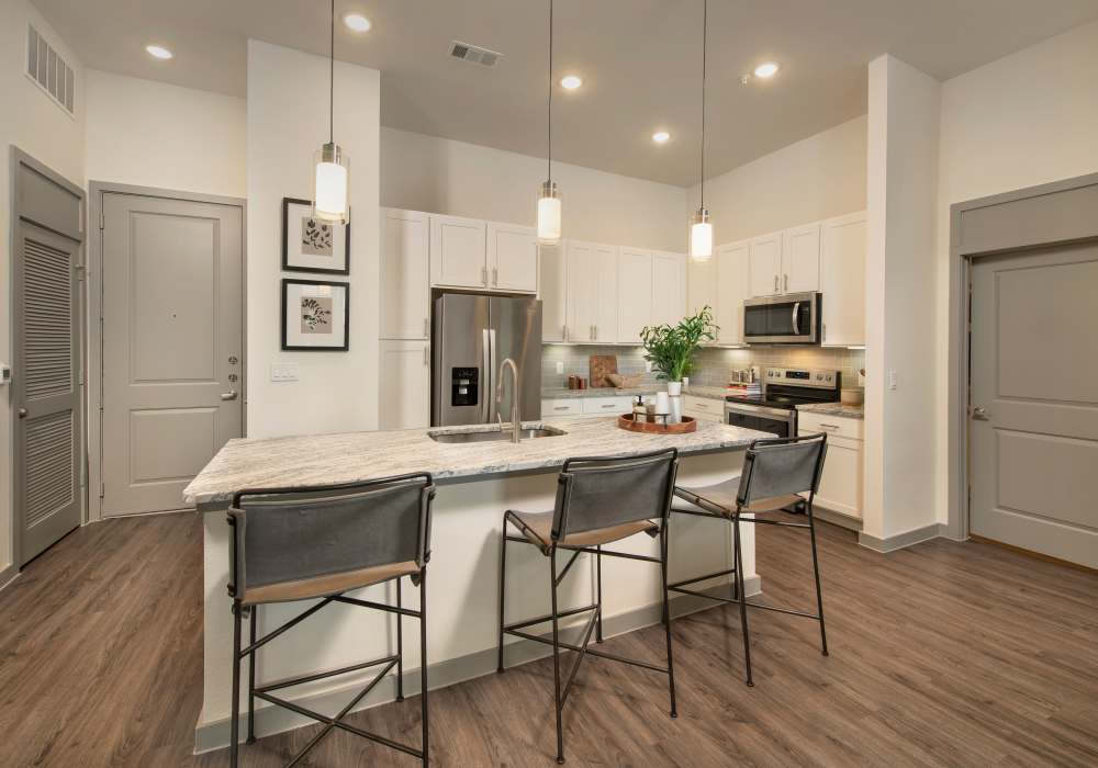 Open kitchen with stainless-steel appliances, granite countertop and wood-style flooring at Orleans at Fannin Station in Houston, Texas