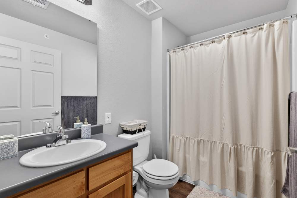 Charming bath oasis with modern finishes and stylish fixtures at Lakewood Crossing in Granbury, Texas.