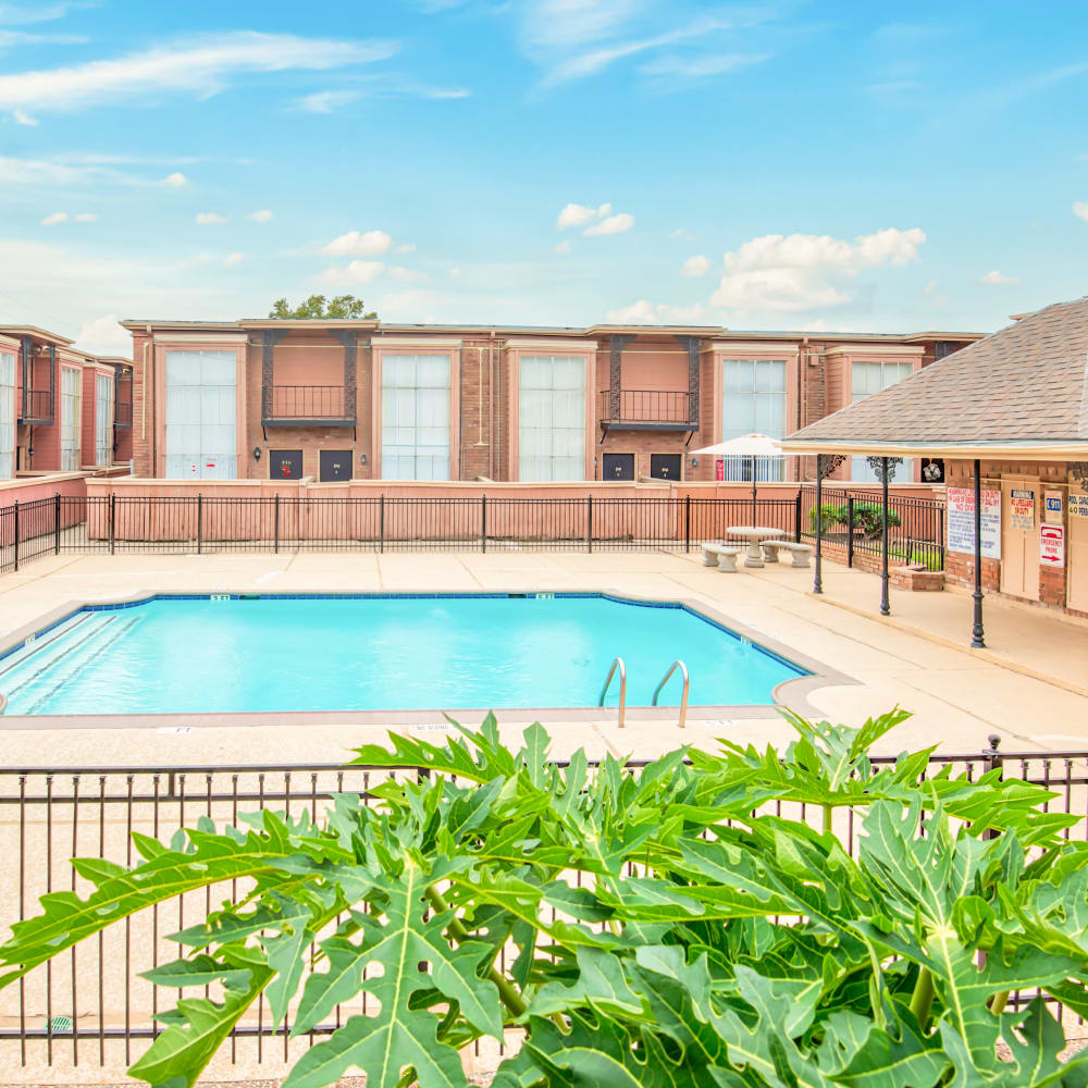 Pool deck at South Oaks in Houston, Texas