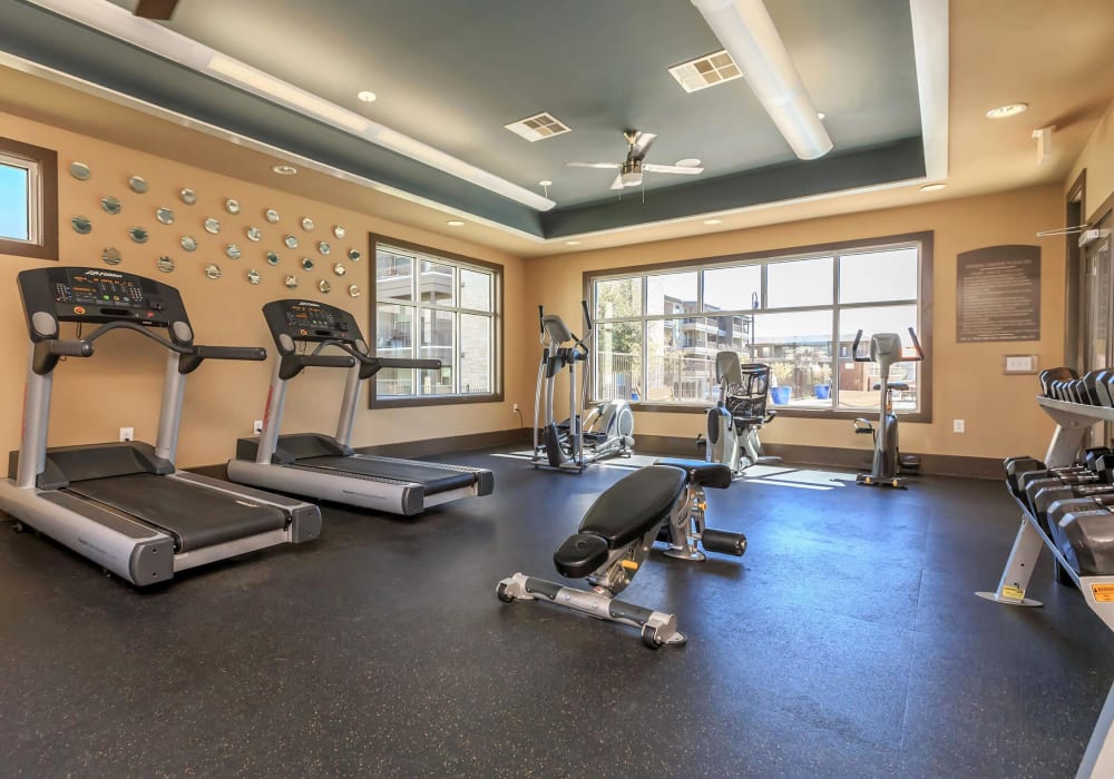 Weights and cardio equipment in the fitness center at Lotus Village in Austin, Texas