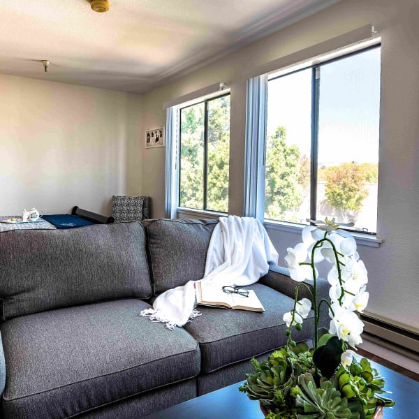 Living room at Pacifica Senior Living San Leandro in San Leandro, California
