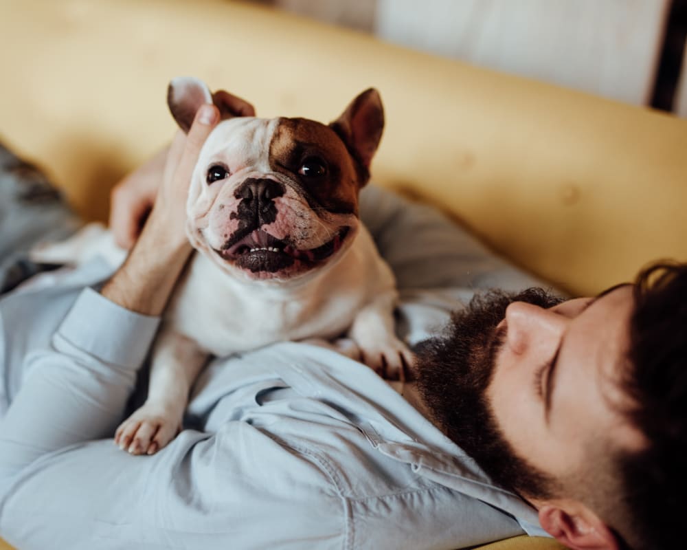 Resident and his Bulldog puppy relaxing on the couch in their new home at Sofi Warner Center in Woodland Hills, California