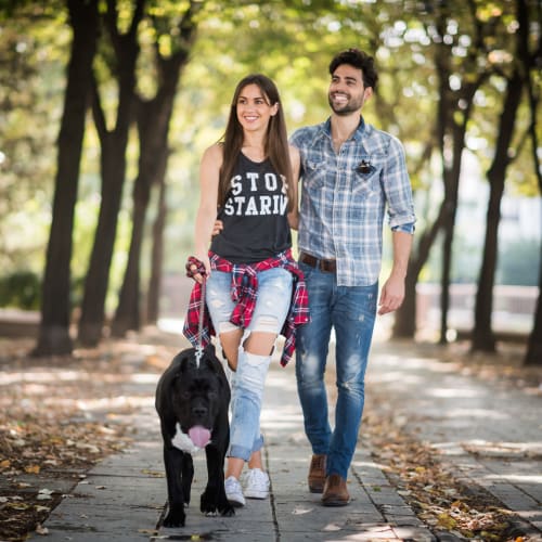 A couple walking in the park with their dog near Castle Acres in Norfolk, Virginia