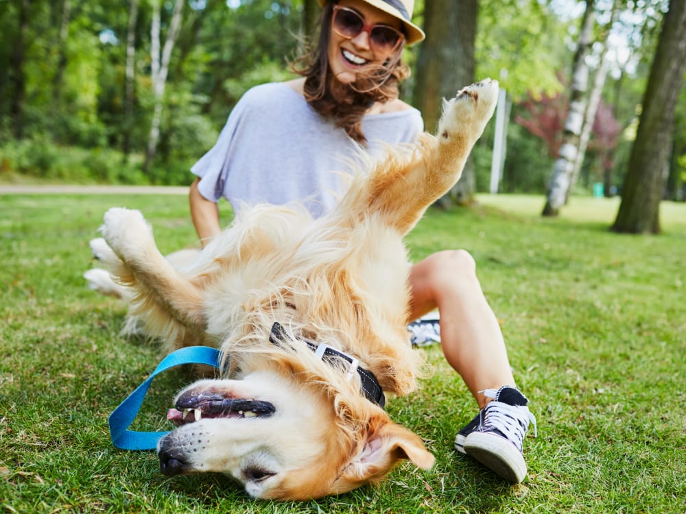 Woman and dog playing outside near Lincoln Village in Riverside, California