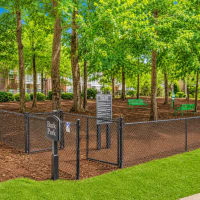A dog park at The Grove at Ben Hill in Atlanta, Georgia