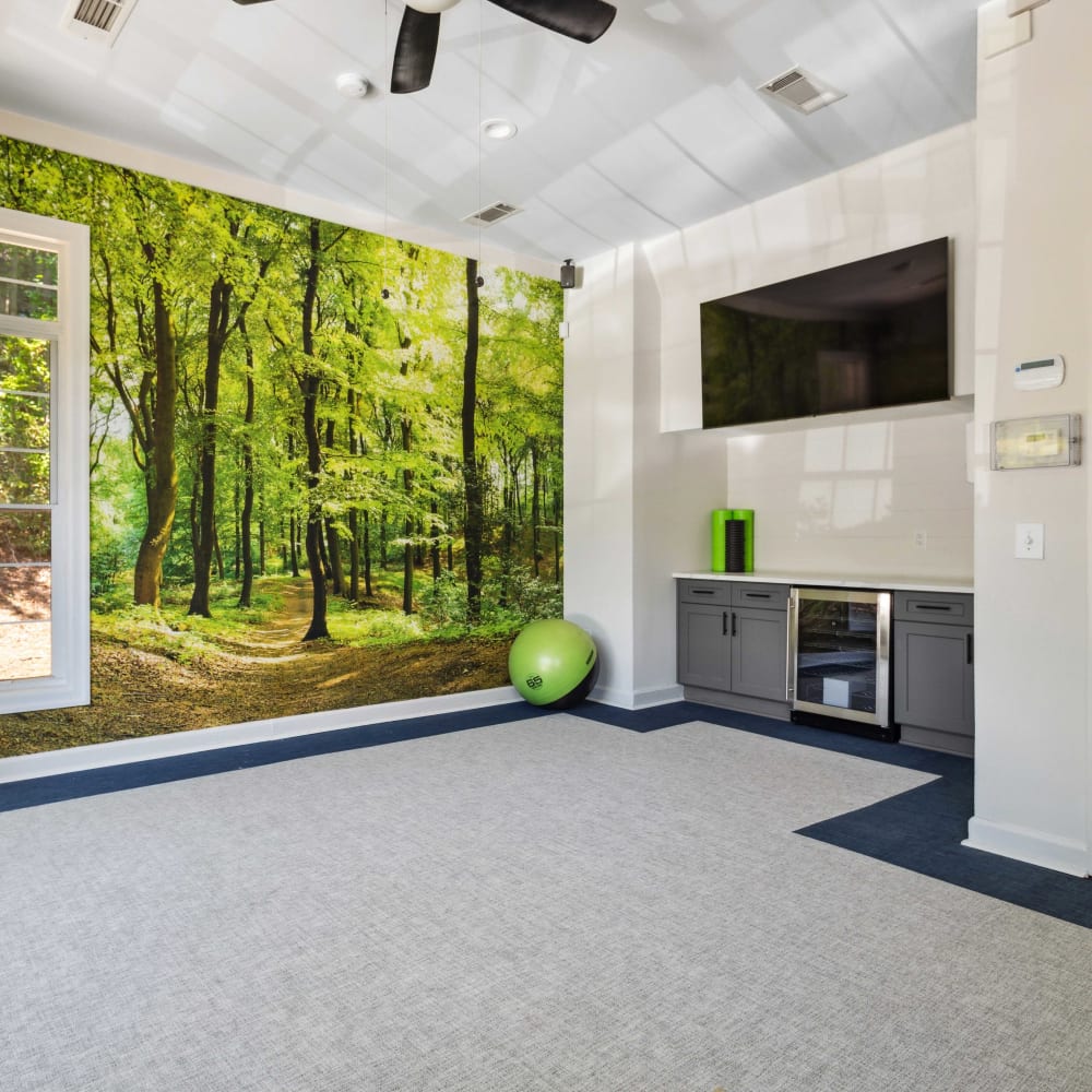 Fitness studio with a nature scene image on the walls and a large flatscreen at Hawthorne Gates in Atlanta, Georgia