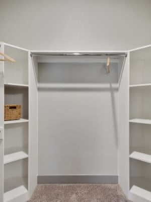 Large carpeted walk-in closet at Discovery Park in Denton, Texas