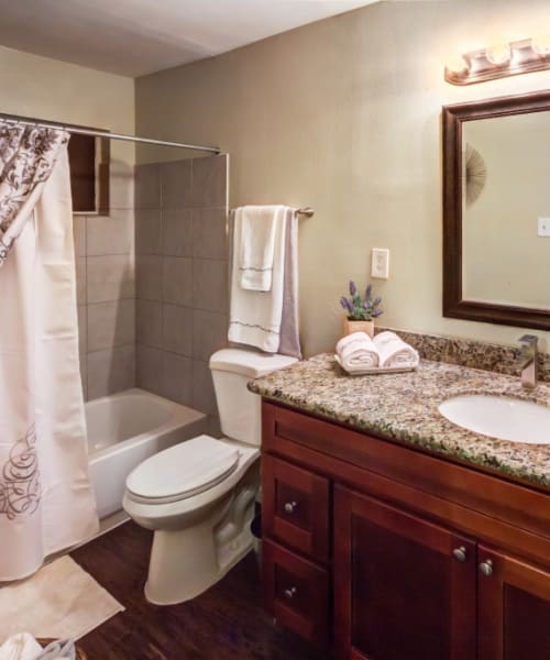 Bathroom with granite countertops at The Shavelson in Houston, Texas