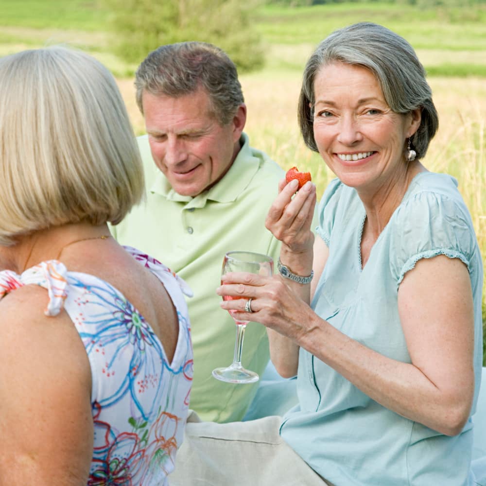 Group of seniors in a picnic