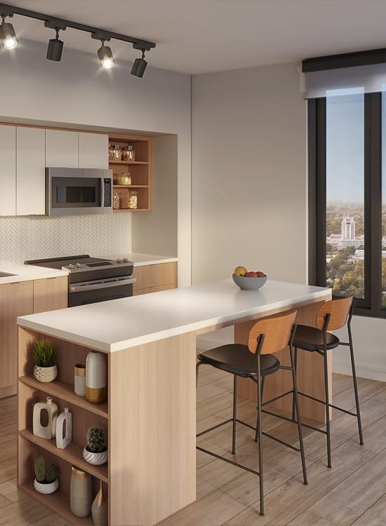 Kitchen area at Solaire 7607 Old Georgetown Rd in Bethesda, Maryland 