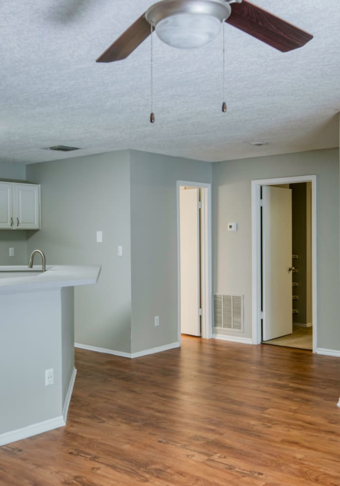 A hallway leading to the kitchen and bedrooms at Mode at Ballast Point in Tampa, Florida