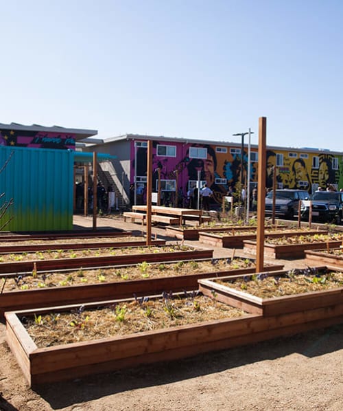 Garden beds at The Orchard, Santa Ana, California