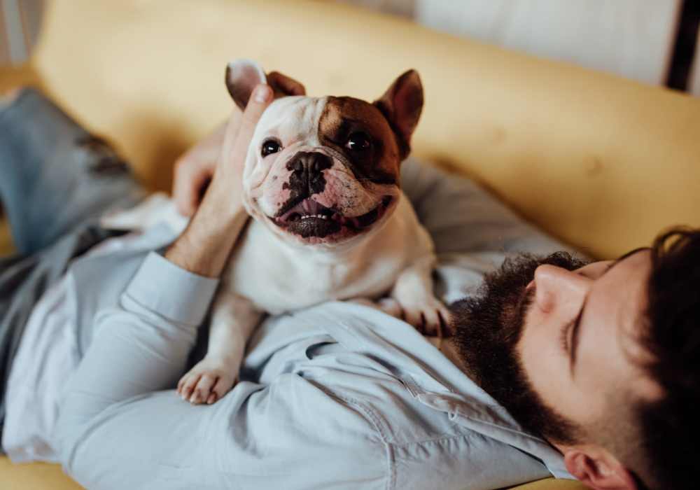 Guy with his dog at Trailhead Flats in Colorado Springs, Colorado