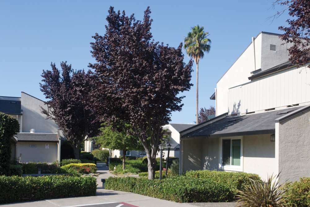 Exterior Building at Trinity Way in Fremont, California
