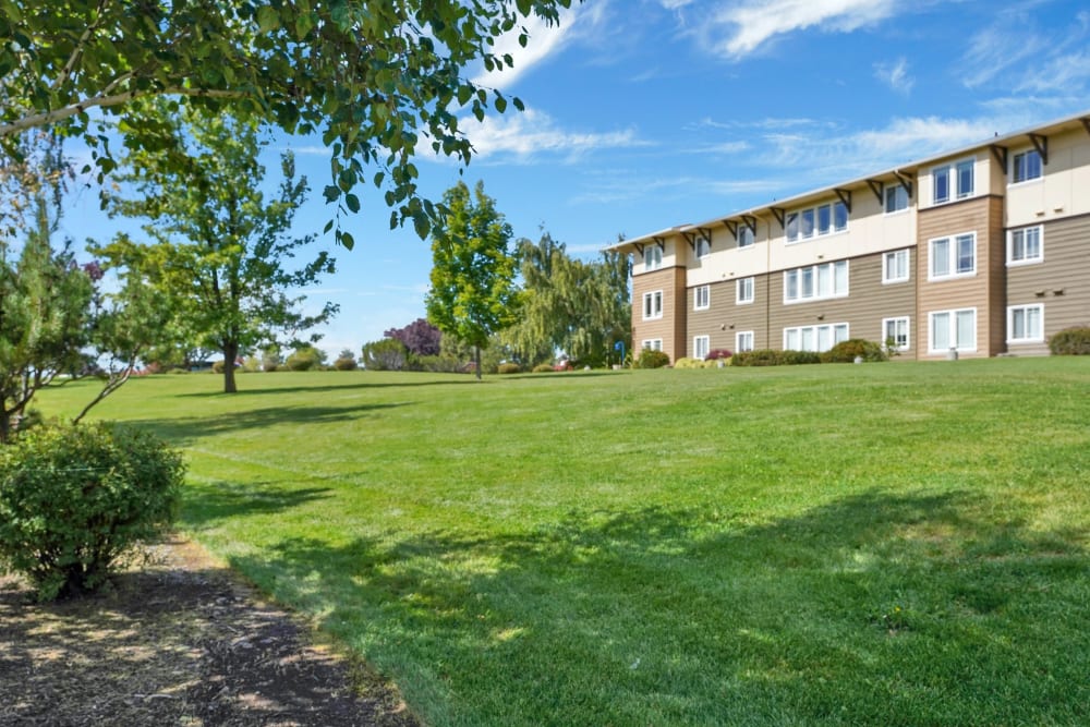 Large grassy area outside Crystal Terrace of Klamath Falls in Klamath Falls, Oregon