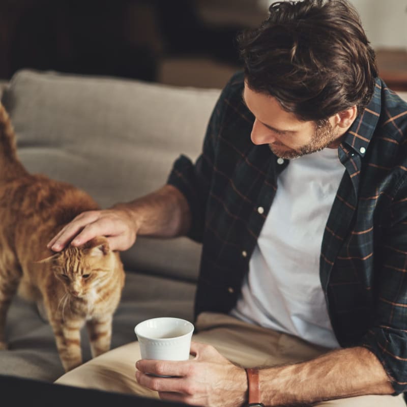 A resident pets his cat at Mason Avenue, Alexandria, Virginia