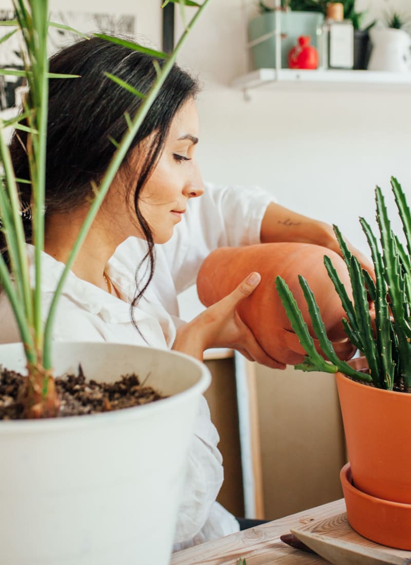 Resident watering their plants at Marquis at Arrowhead in Peoria, Arizona