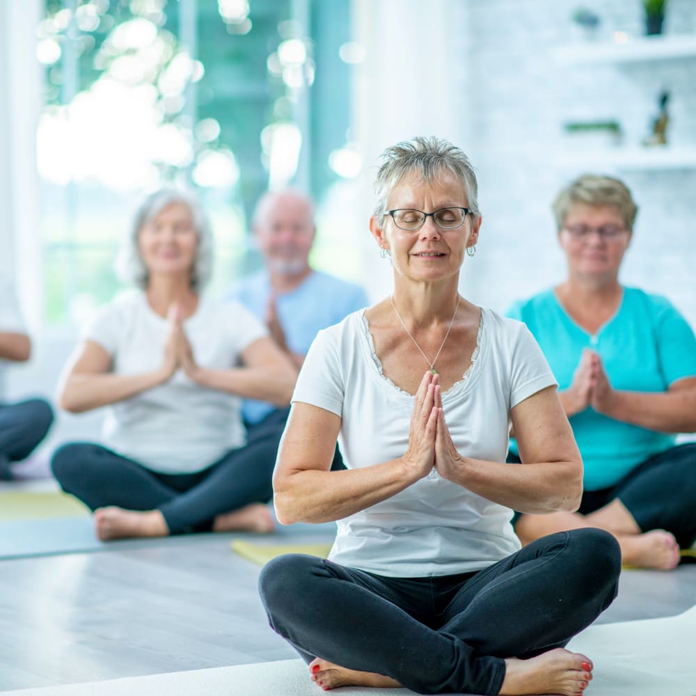 residents doing yoga The Eloise at Wirth on the Woods in Minneapolis, Minnesota