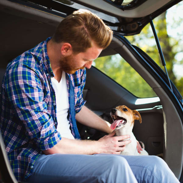 Pet friendly apartments in Amarillo