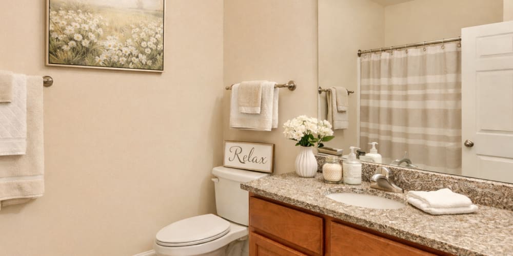 Beautiful Bathroom with garden tub and oversized vanity at Avalon Park in Gastonia, North Carolina