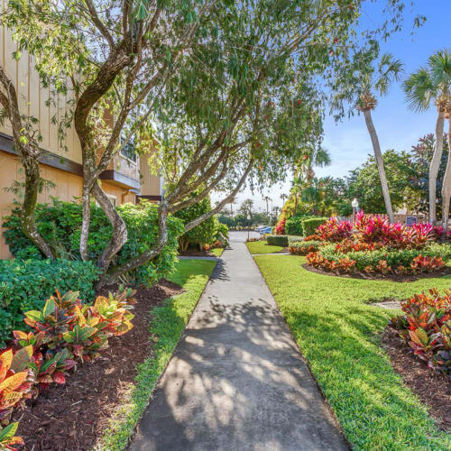 Well-maintained landscaping at Derby Park Apartments in Daytona Beach, Florida