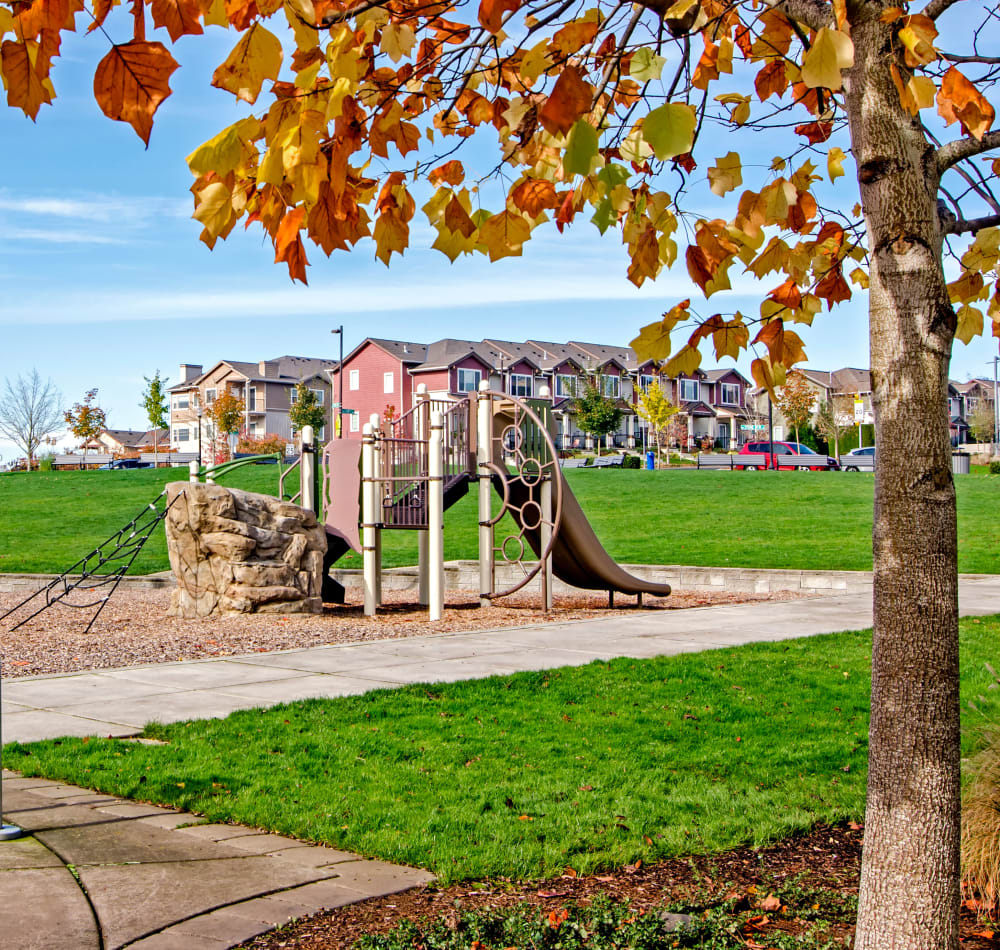 Onsite children's playground surrounded by beautiful green grass at Sofi at Cedar Mill in Portland, Oregon