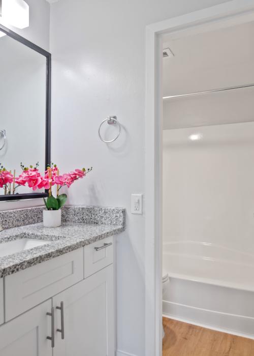 An apartment bathroom at Forest Place in North Miami, Florida