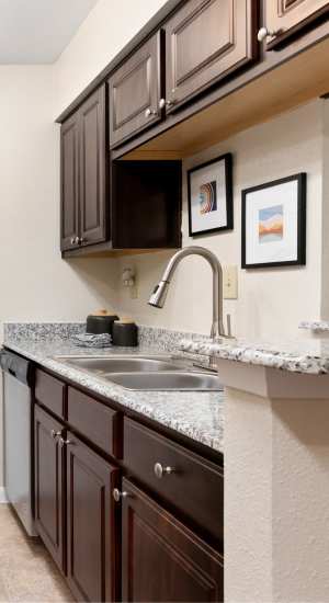 Kitchen with dark walnut cabinet  at The Abbey At Enclave in Houston, Texas