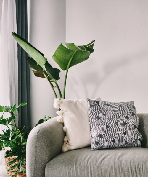 Close-up of a sofa and houseplant at Kensington Manor Apartments in Farmington, Michigan