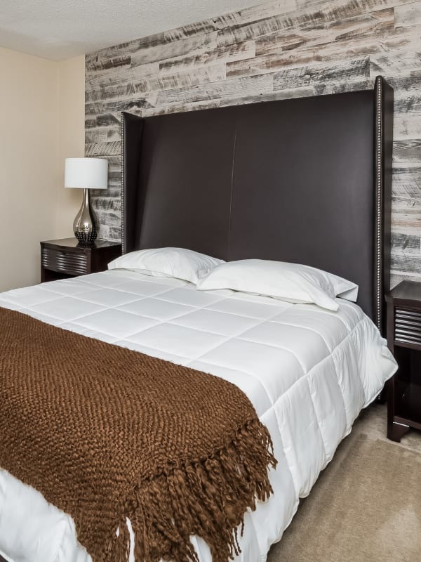 Model master bedroom with plush carpeting and an accent wall at Tuscany Pointe at Tampa Apartment Homes in Tampa, Florida