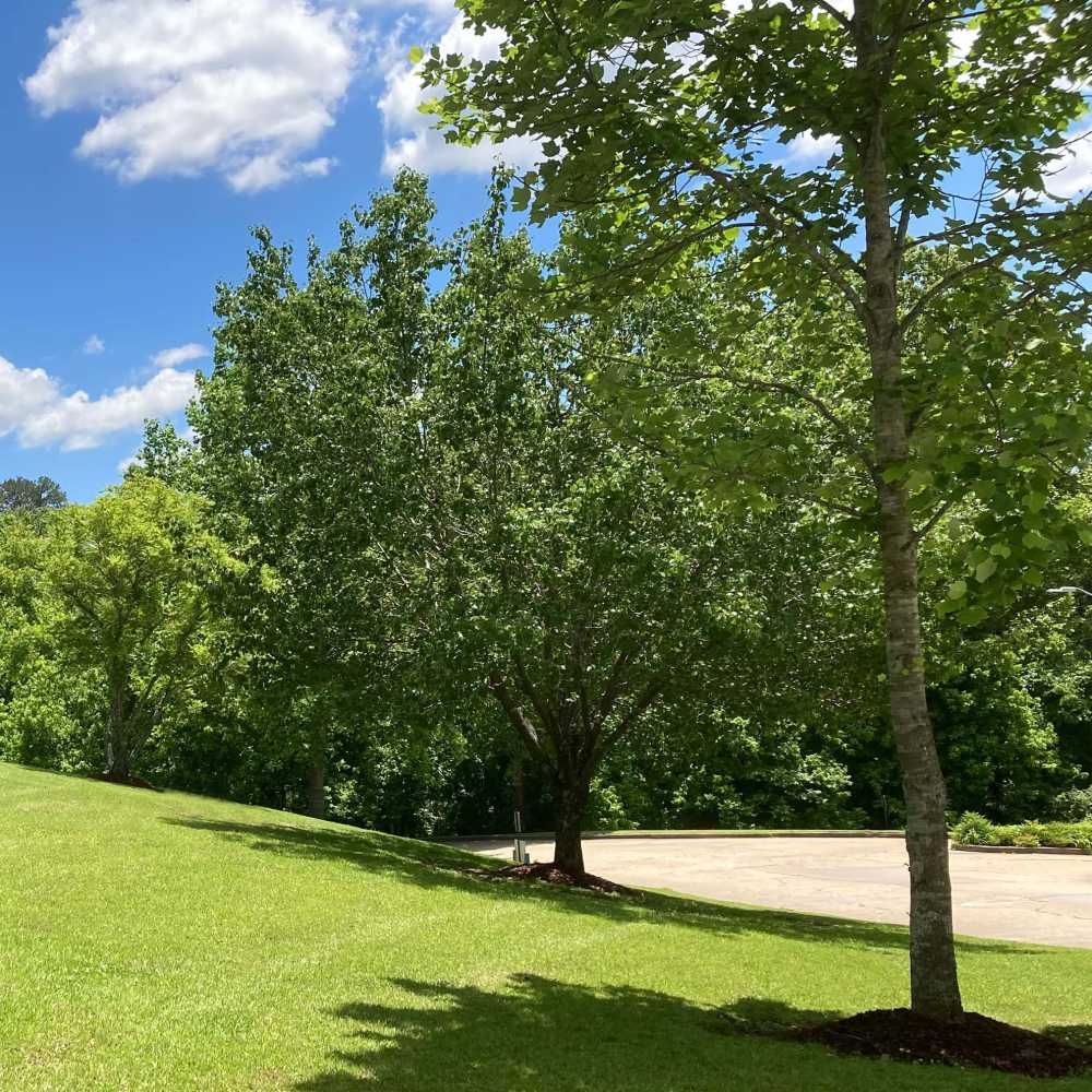 Lush landscaping at Cannongate Apartments in Vicksburg, Mississippi